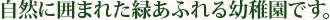 自然に囲まれた緑あるれる幼稚園です。